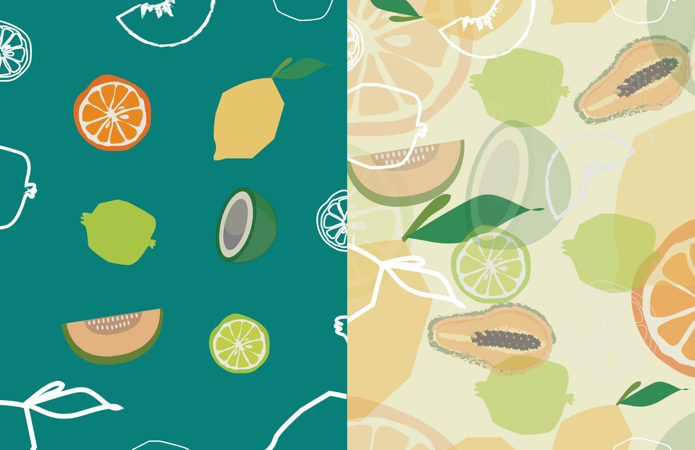 Illustrations of fruits in line art and vector art