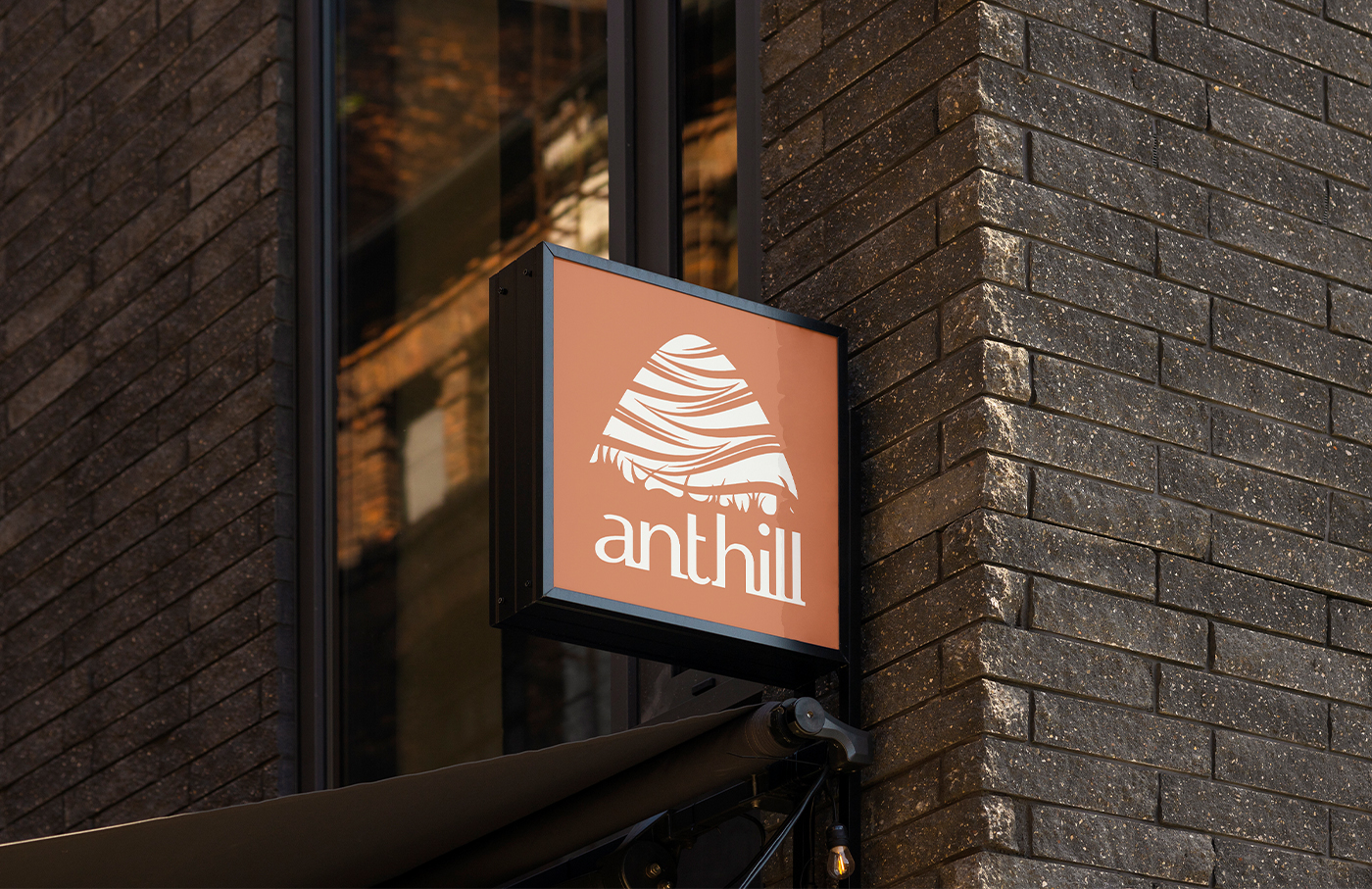 Brand refresh and visual identity for ANTHILL